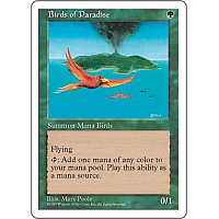 Birds of Paradise