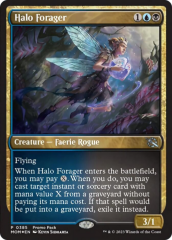 Halo Forager_boxshot