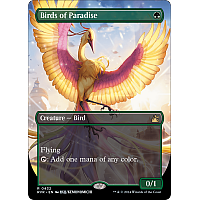 Birds of Paradise (Borderless)