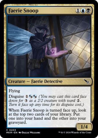Faerie Snoop_boxshot