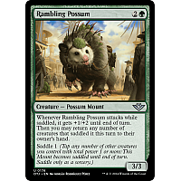 Rambling Possum