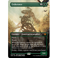 Endurance (Borderless)