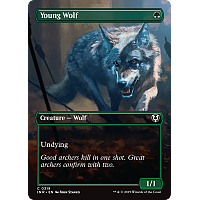 Young Wolf (Borderless)