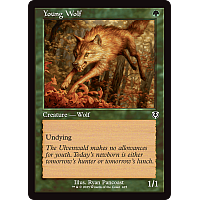 Young Wolf (Foil)