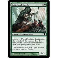 Woodland Sleuth