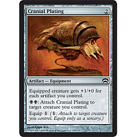 Cranial Plating