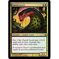Putrid Leech