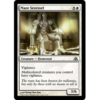 Maze Sentinel