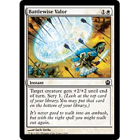 Battlewise Valor