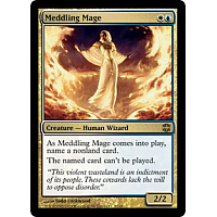 Meddling Mage