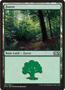 Forest_boxshot