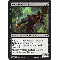 Hooded Assassin