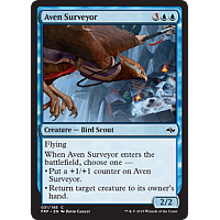 Aven Surveyor