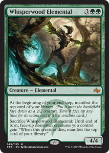 Whisperwood Elemental_boxshot