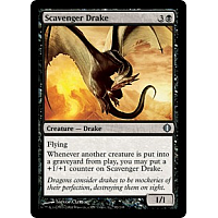 Scavenger Drake