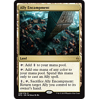 Ally Encampment