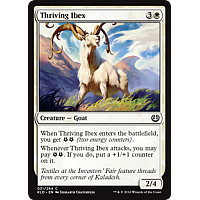 Thriving Ibex