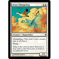 Avian Changeling