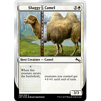 Shaggy Camel