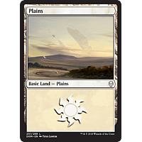 Plains