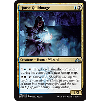 House Guildmage