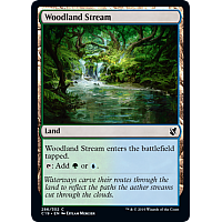 Woodland Stream
