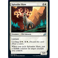 Splendor Mare