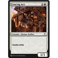 Fencing Ace