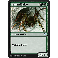 Sentinel Spider