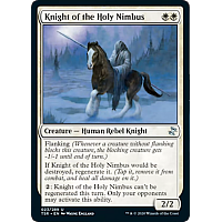 Knight of the Holy Nimbus